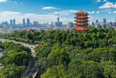 国产果冻传媒免费观看-国产果冻传媒，探索免费观影的乐趣与边界